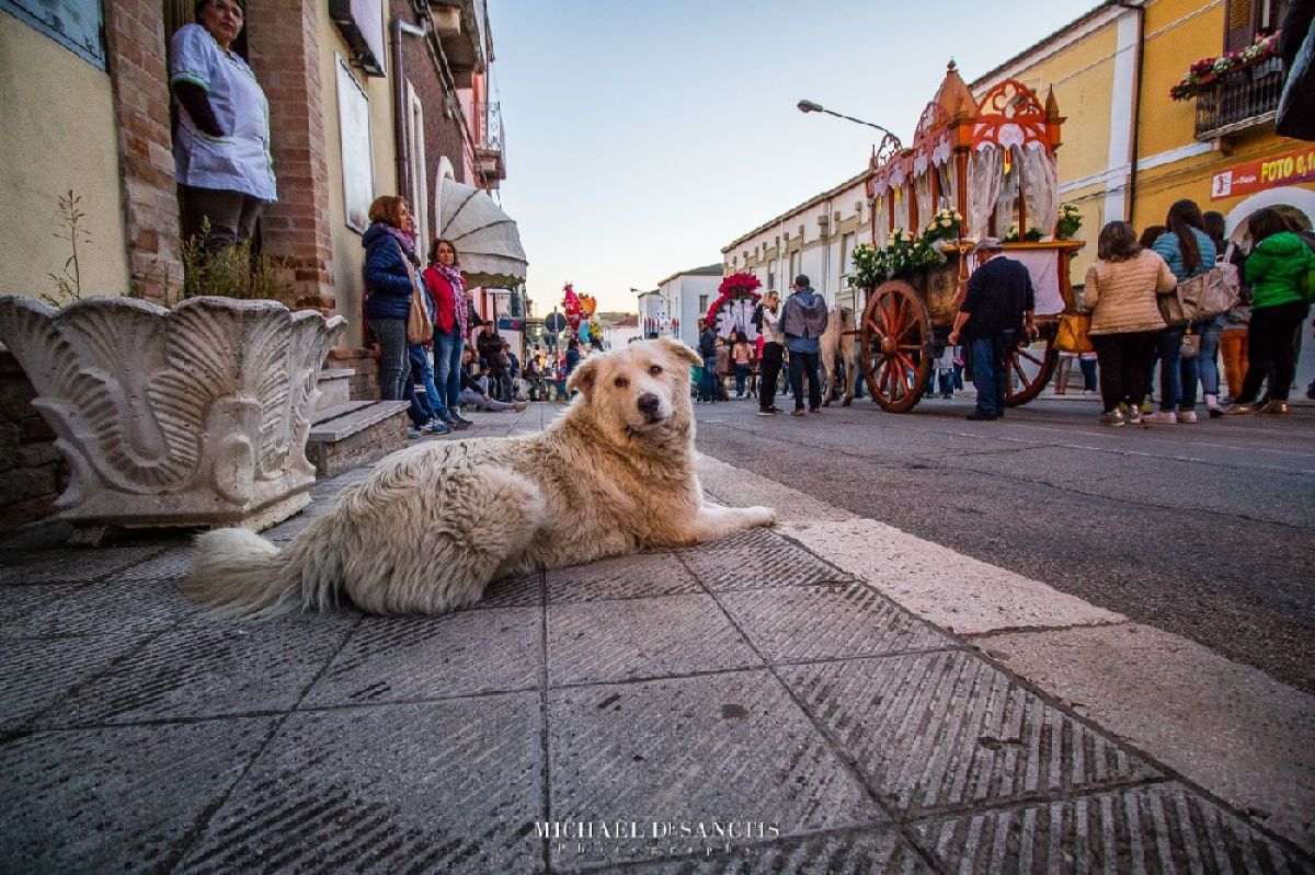Il culto di San Pardo